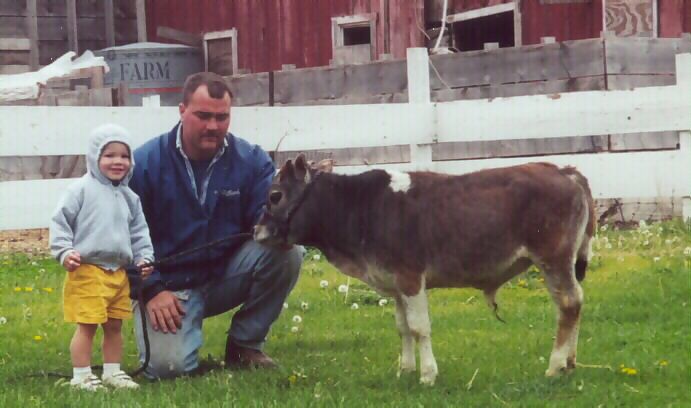 2 yr old Tyson with yearling bull